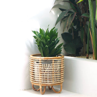 Malang Rattan Plant Stand – Boho Flower Pot Holder Beige - CozyVibe.eu