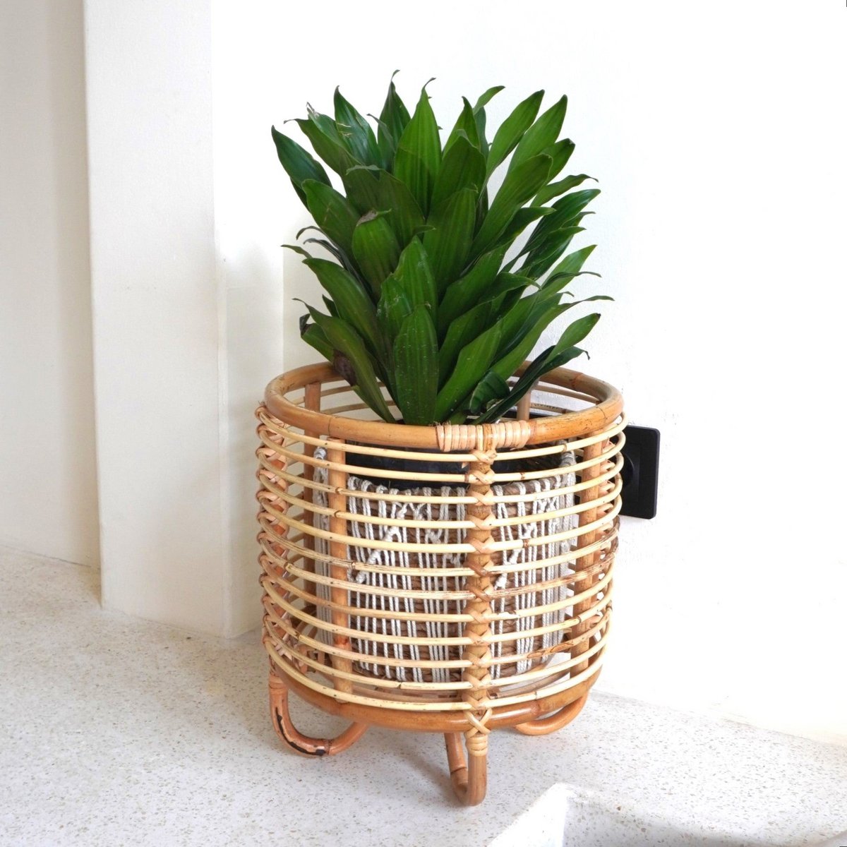 Malang Rattan Plant Stand – Boho Flower Pot Holder Beige - CozyVibe.eu