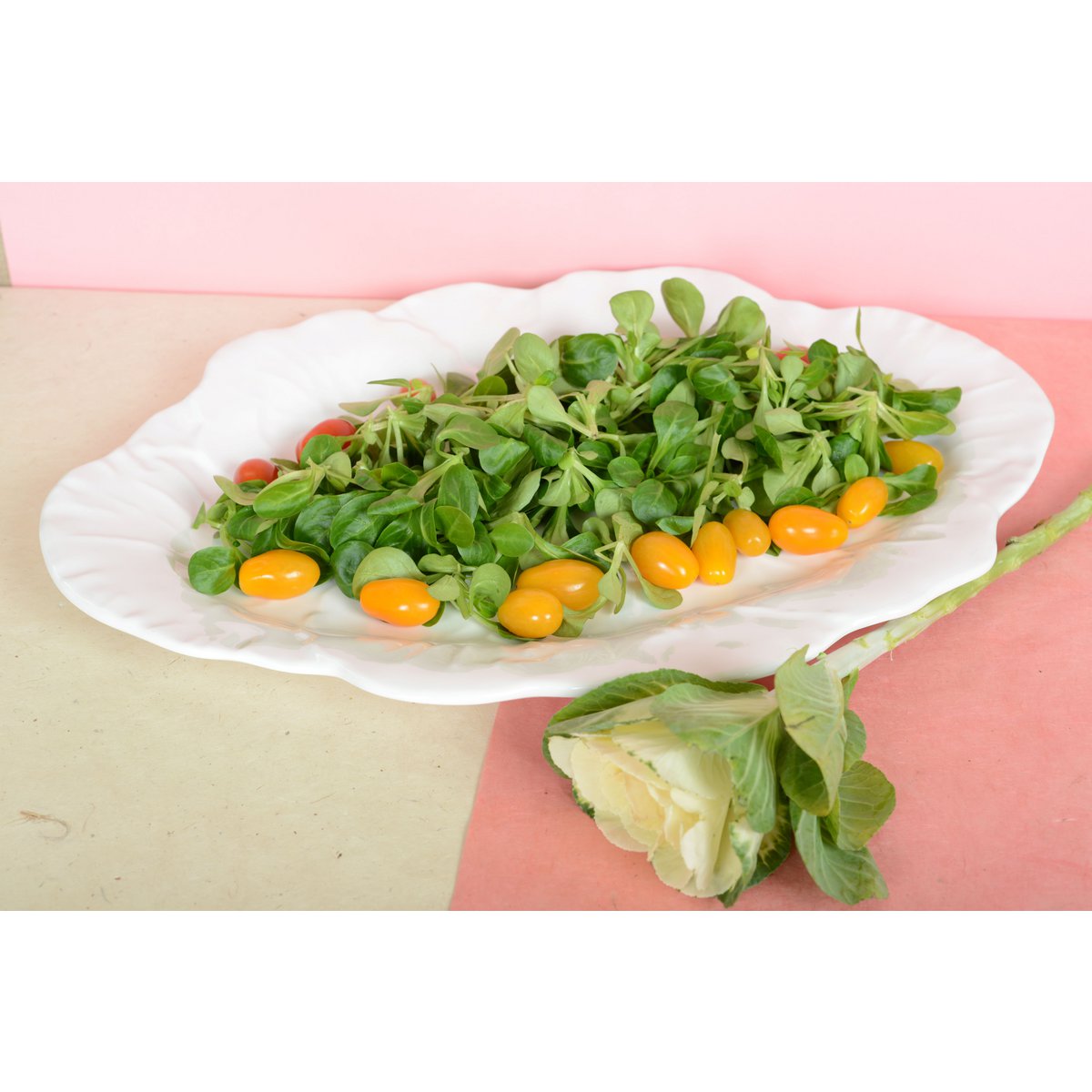 Witte ovale melamine serveerschaal – 50×40×2 cm