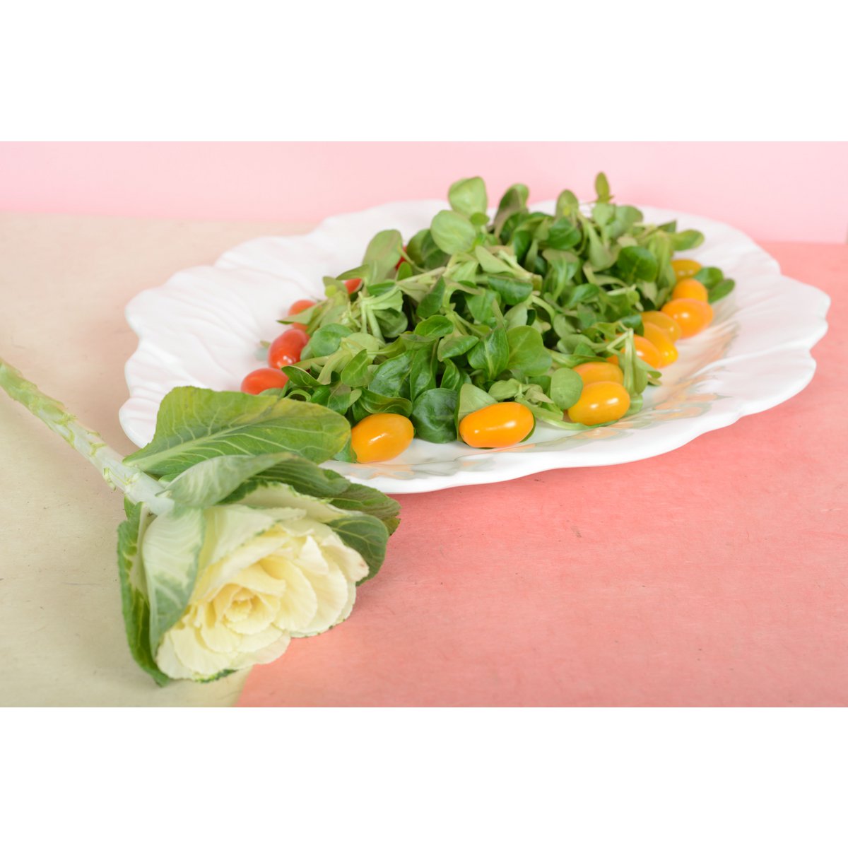 Witte ovale melamine serveerschaal – 50×40×2 cm